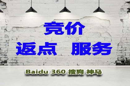 实战派经验分享：百度竞价代理成功案例揭秘